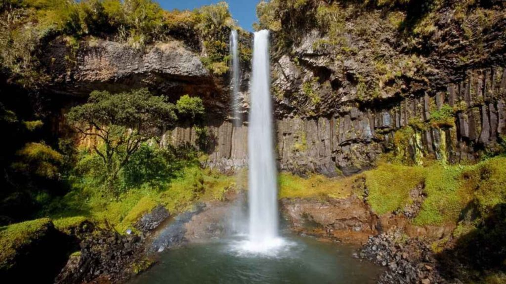Aberdare National Park