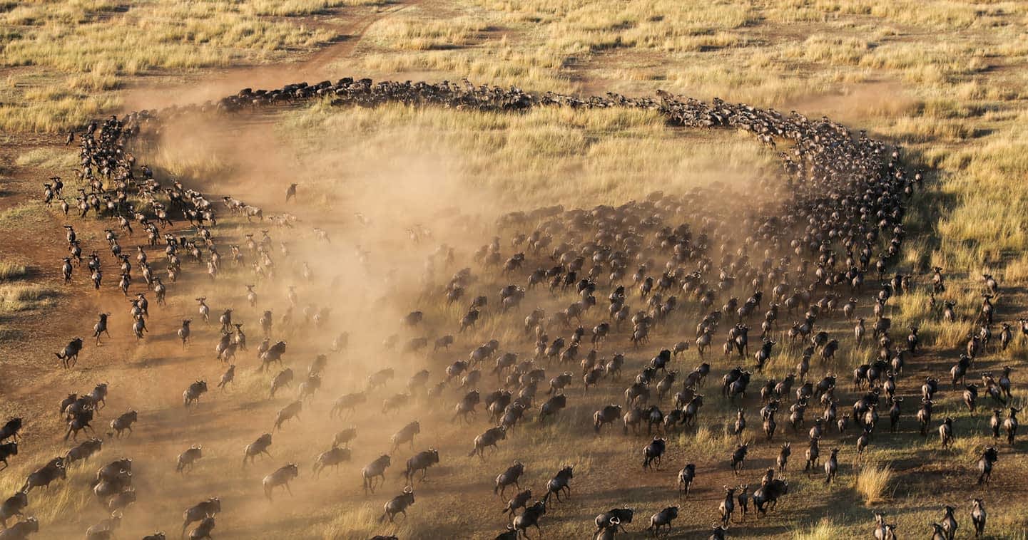 Maasai Mara