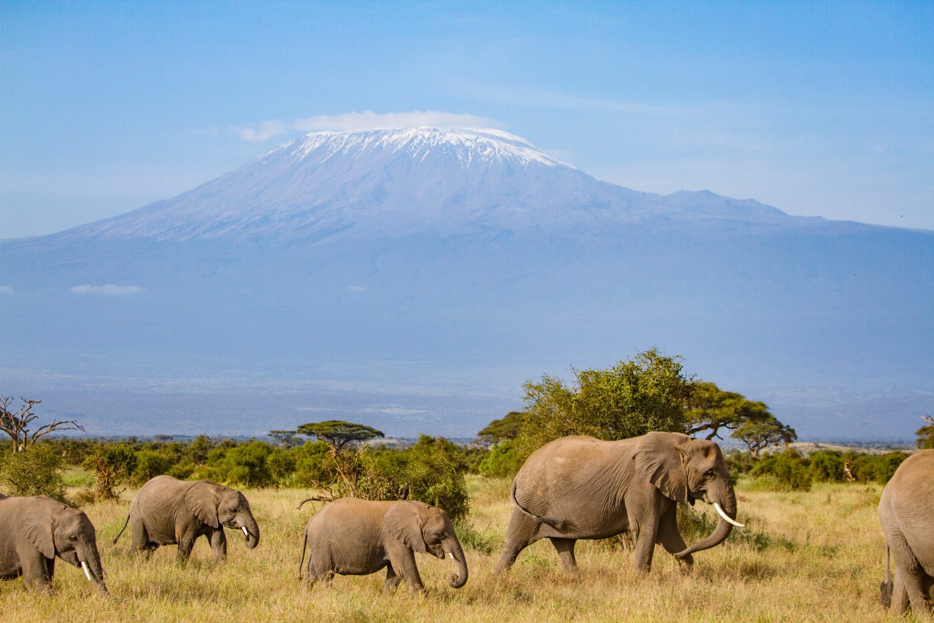 Mount Kenya