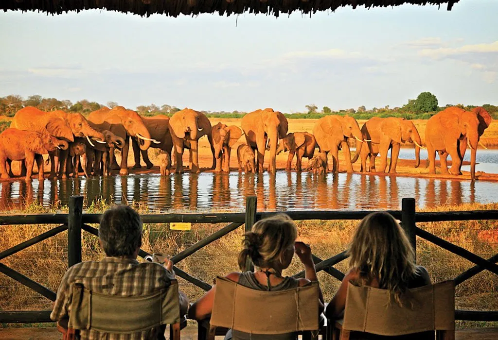 Tsavo National Park